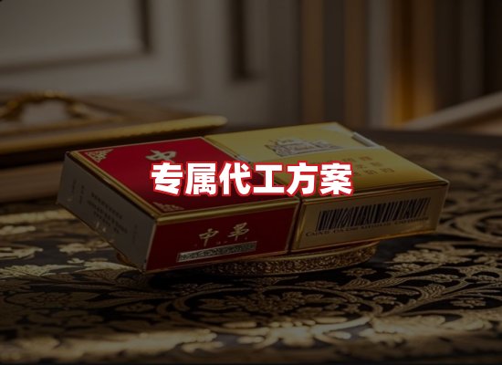 专业团队